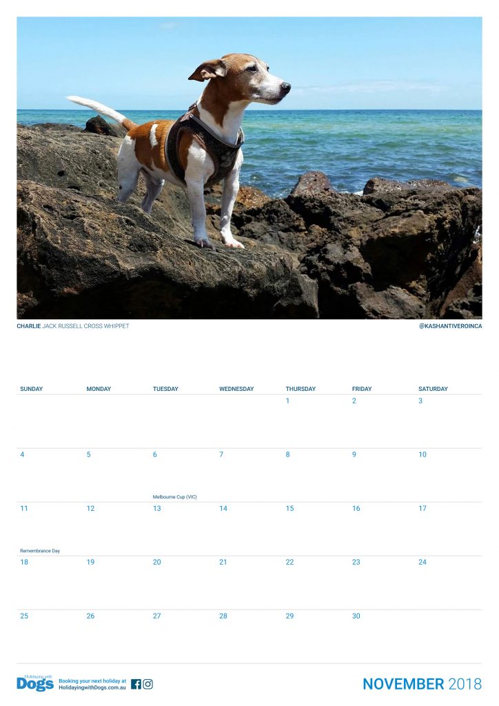 november dog calendar