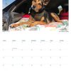 HWD calendar january