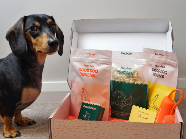 Christmas Gift Guide 2019 - Holidaying With Dogs