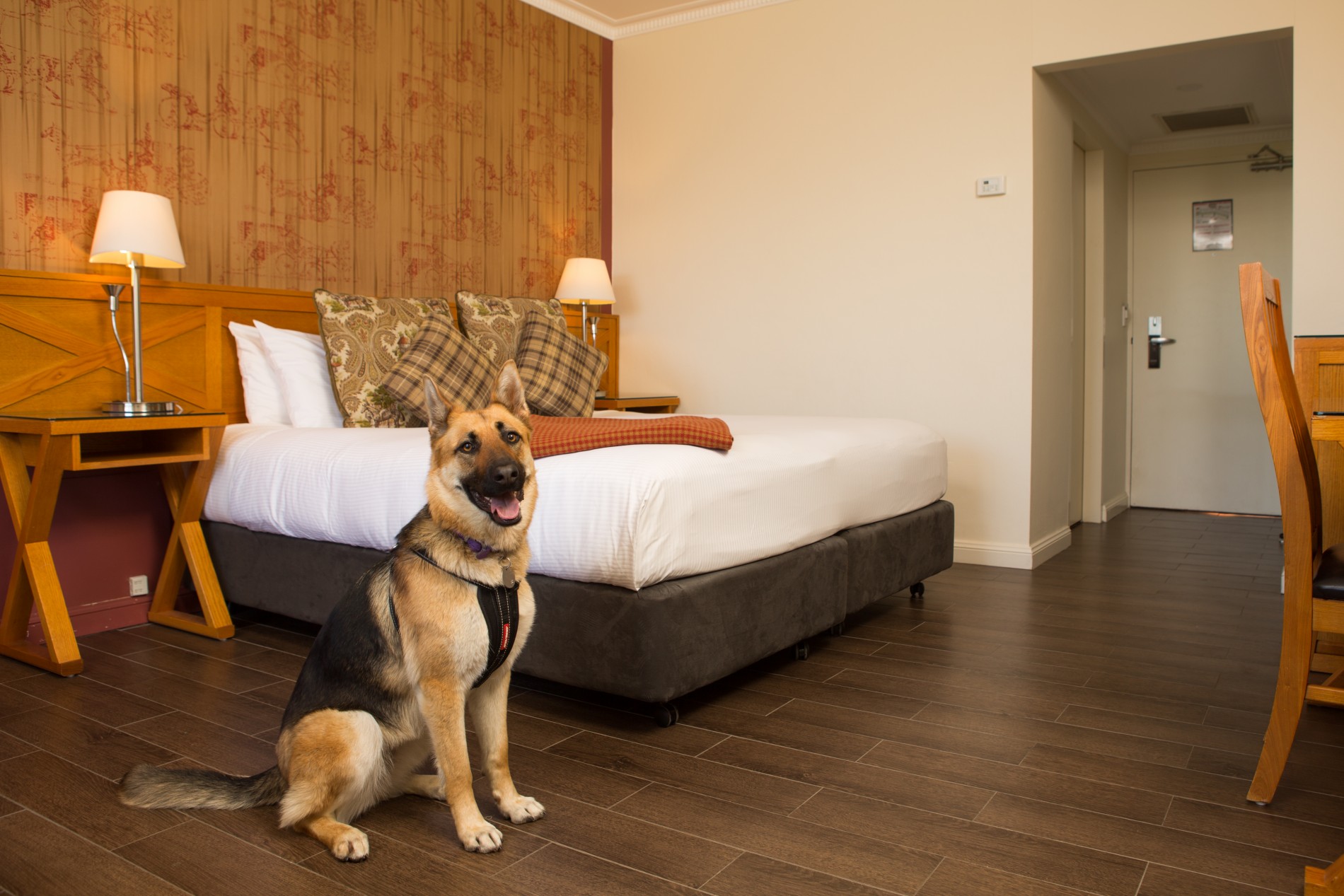 Holidaying With Dogs - Pet Friendly Accommodation, Hotels & Rentals